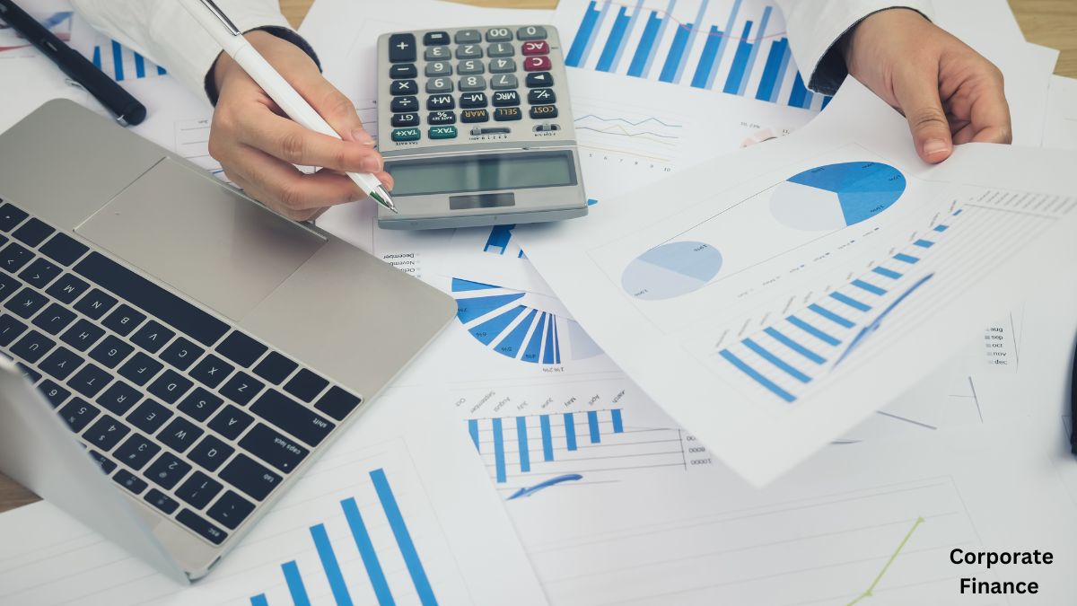 The Basics of Corporate Finance The Basics of Corporate Finance