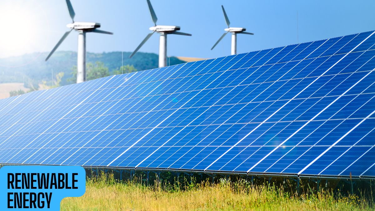 Global Push for Renewable Energy Gains Momentum