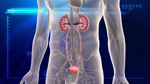 UTI St. John and Biofilm Formation: Mechanisms and Clinical Implications for Treatment Resistance