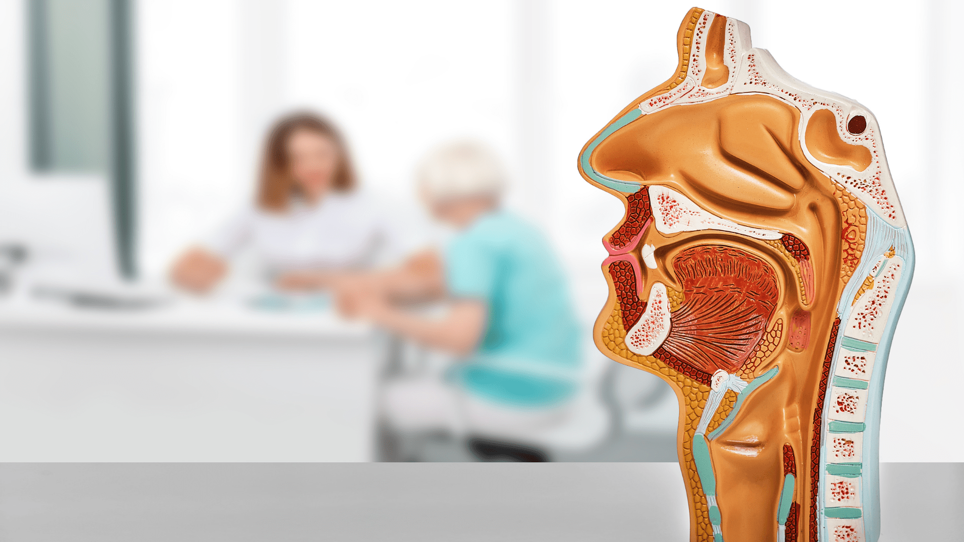 Understanding the Role of a Paediatric ENT Specialist in Singapore: A Parent’s Guide